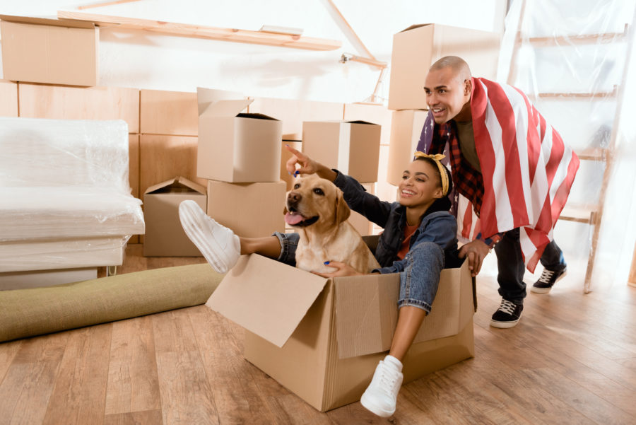 Woman, man, and a dog preparing for cross-country moving